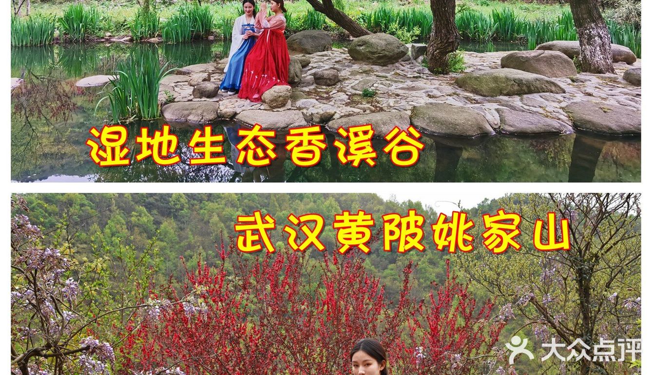 武汉黄陂姚家山，湿地生态香溪谷