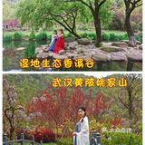 武汉黄陂姚家山，湿地生态香溪谷