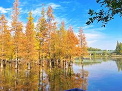 -白鹭湾湿地公园