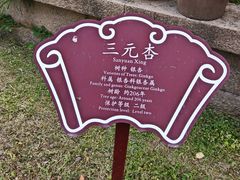 -苏州文庙(姑苏区)