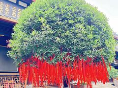 -古大圣慈寺