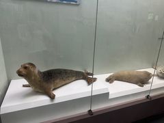 -国家自然博物馆