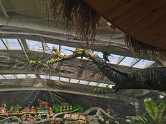 -南宫五洲植物乐园