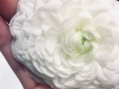-CHEZ JASMINE 茉莉的氧气厨房