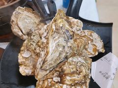 桑拿蠔-天宝食坊·啫啫煲大排档(西华路店)