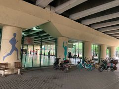 -长白岛森林公园