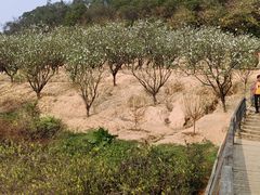 -南国桃园旅游度假区