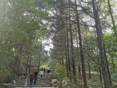 -周口店北京人遗址公园