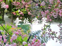 -个园
