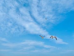 -海驴岛(荣成市)