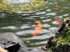 -径山寺