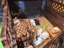 -酷嗒动物文化乐园(cutezoo西溪乐天城店)