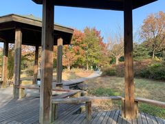 -白塘生态植物园