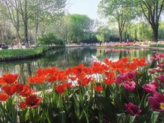 -石家庄市植物园