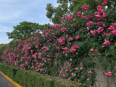 -上海科技馆(地铁站)