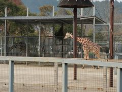 -苏州上方山国家森林公园
