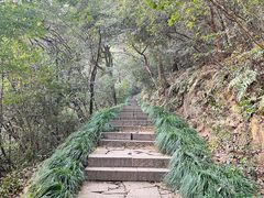 -杭州半山国家森林公园