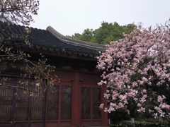 -八大山人梅湖景区