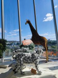 -IMON·HANSA潮玩玩偶毛绒玩具(通州万象汇店)