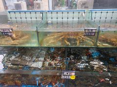 -日照大牌檔•小船海鲜(万平口店)