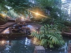 -成都市活水公园