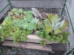 -天怡·鱼工厂(临江店)