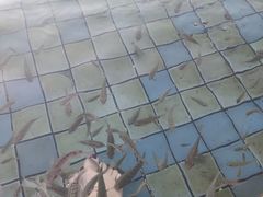 -江门古兜温泉小镇