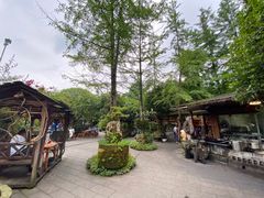 -青城甲(青城山店)