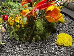 -曼格纳·曼芯馆(杨浦店)