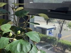 -凯逸轩·匠心粤菜(中城名仕汇店)