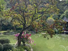 -云溪植物园