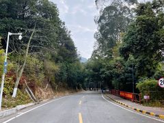 -大雁山风景区