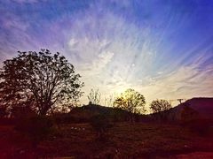 -上海佘山国家森林公园天马山园