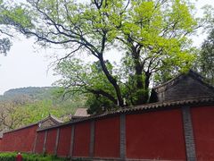 -窦大夫祠