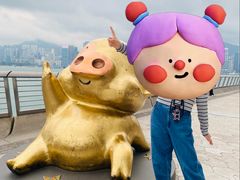 -星光大道