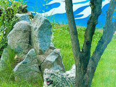-青藏高原野生动物园