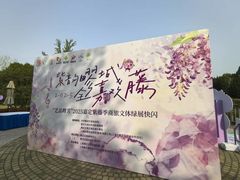 -嘉定紫藤园