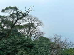 -青城山