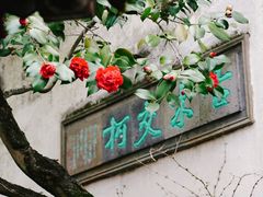 -留园