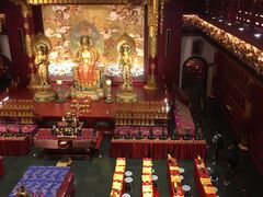 -新加坡佛牙寺龙华院