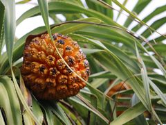 -龙坑生态保护区