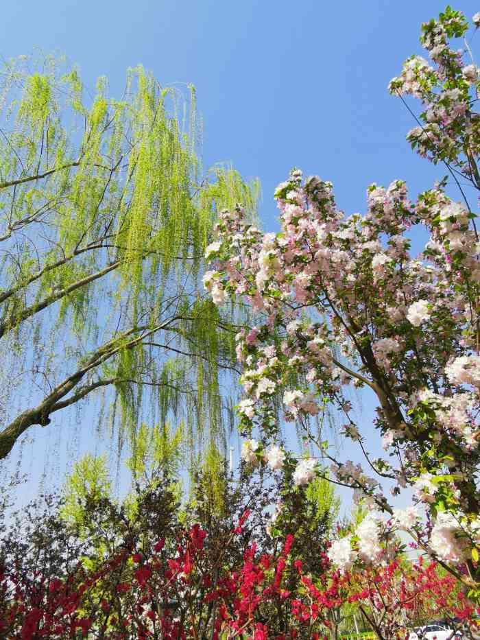 德胜公园-"比较常走的是鼓楼这半段大部分时候只能是.