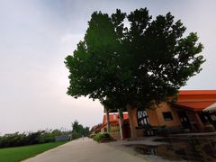-意大利农场度假村