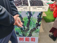 -示范集贸市场
