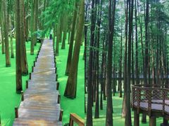 -青山湖景区