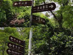 -灵谷景区