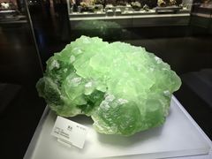 -湖南省地质博物馆