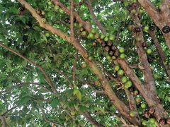 -顺德了能馆(虎门店)