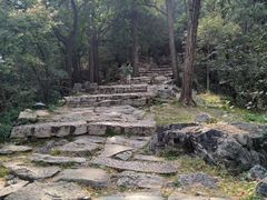 -北京鹫峰国家森林公园