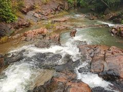 -广州白江湖森林公园